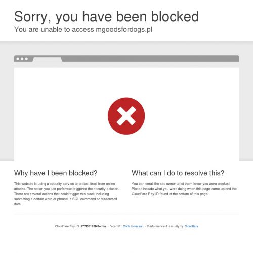 Szarpak treningowy dla psa