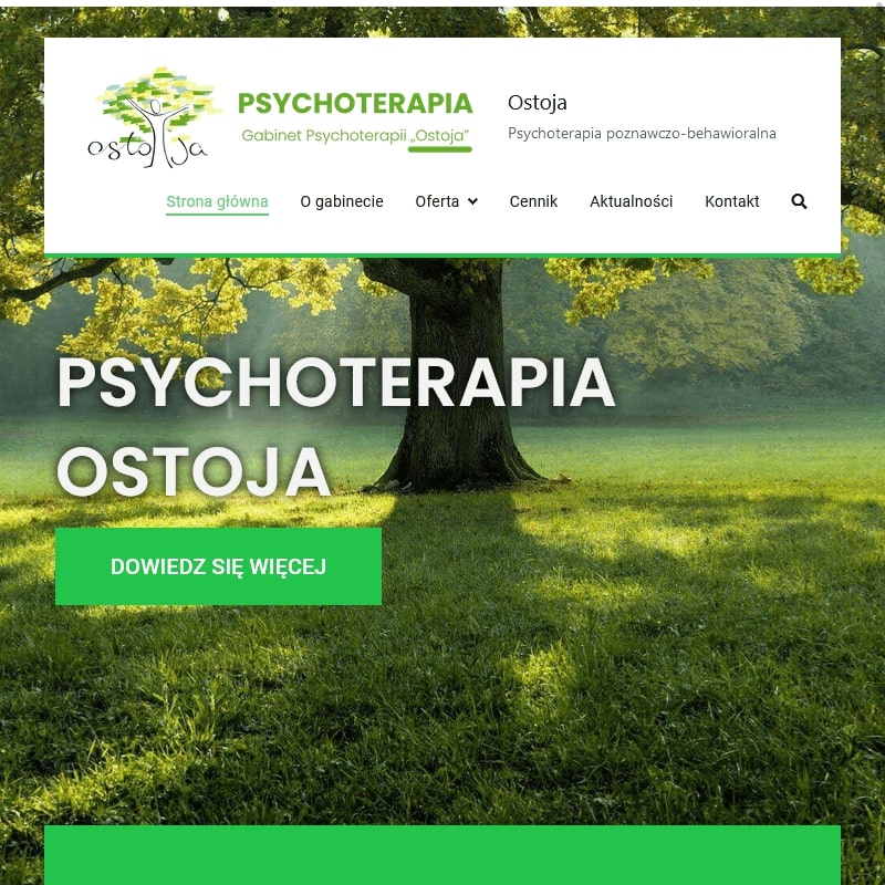 Psychoterapia indywidualna w Warszawie